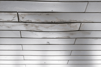 天井・壁のシミ